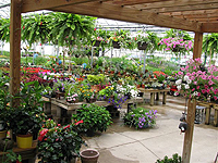 Greenhouse and Garden Barn Gift Shop
